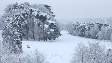 Snowy winter scene with a dog walker in mid distance