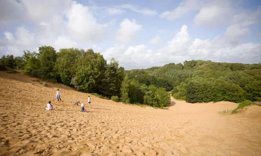 Merthry Mawr sand dunes