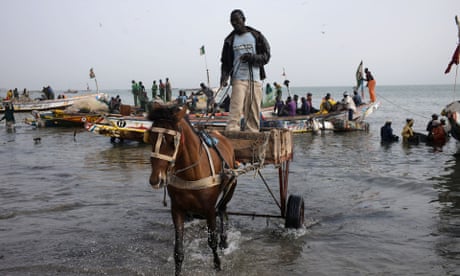 A man with a horse and cart rides out of the shallows after collecting the catch from traditional fishing boats