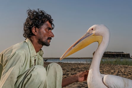 A man crouches opposite a large bird, stroking it with one hand