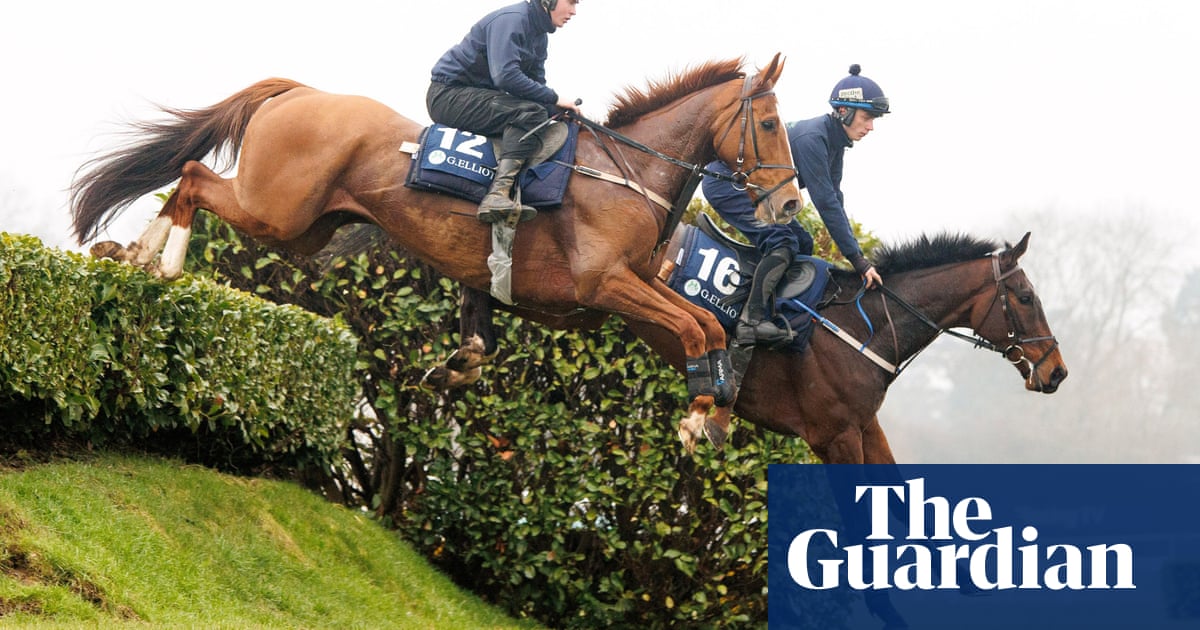 Cheltenham Festival Plans Meal Deals Amid Attendance Decline