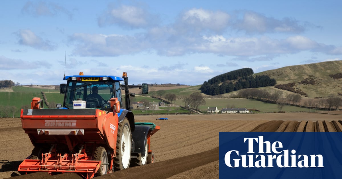 A Call for Resilience: Tackling the UK's Food Security Crisis