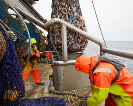 Fishers dressed in bright protective gear work on the deck of a boat.