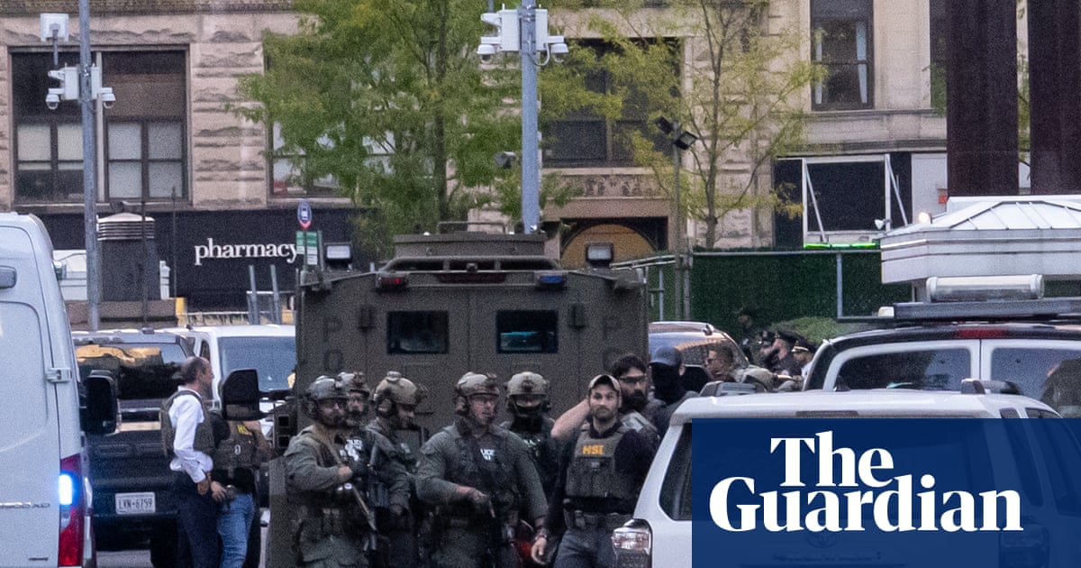 Protests erupt in New York City after Ice raids Chinatown over ‘counterfeit goods’