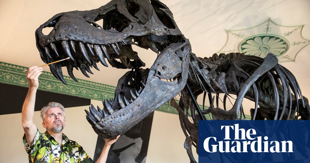 'Real' T rex goes on show in England for first time in over a century