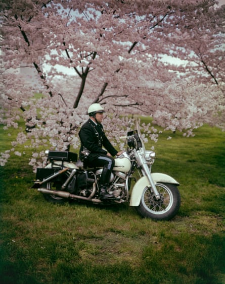 A police officer on a motorcycle parked in front of a blossoming cherry tree