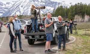 Visitors gather along the side of the road to try to photograph a grizzly bear with her cubs on Monday afternoon.