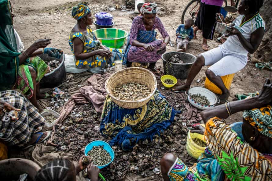 Women sit around a pile of oysters, removing them from their shells