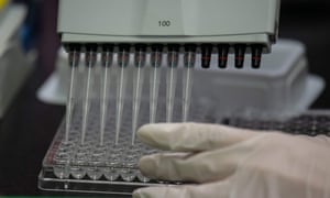 a technician works in a lab