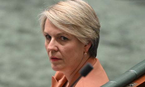 Tanya Plibersek in parliament house, shown looking to the left in three-quarter profile