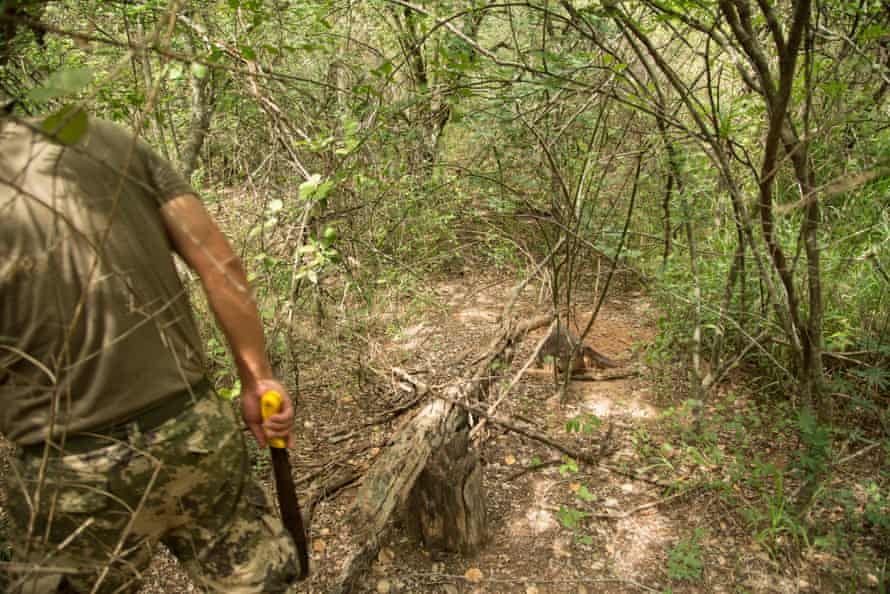 Rocky road: Paraguay’s new Chaco highway threatens rare forest and last of the Ayoreo people | Global development 15 A soldier uses a machete to cut his way through scrub forest