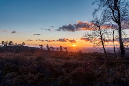 An orange sunset over downland and trees