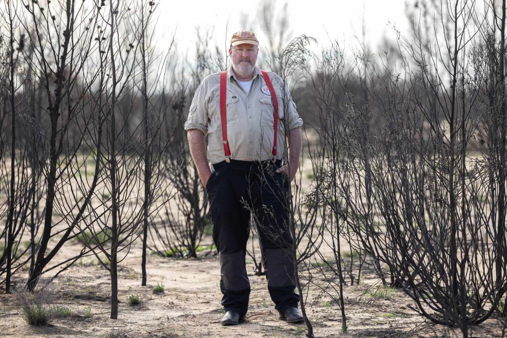 Ecologist Dr Victor Hurley stands among burnt dead cypress pines in Wyperfeld national park
