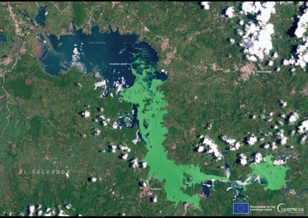 A lake seen from space most of the surface bright green with vegetation