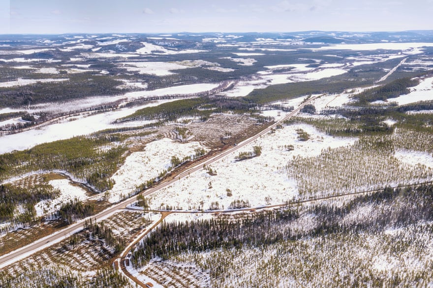 Snowy forested landscape is divided by roads - aerial shot