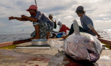 M&S joins calls for EU to restrict harmful tuna fishing methods in Indian  Ocean, Fishing