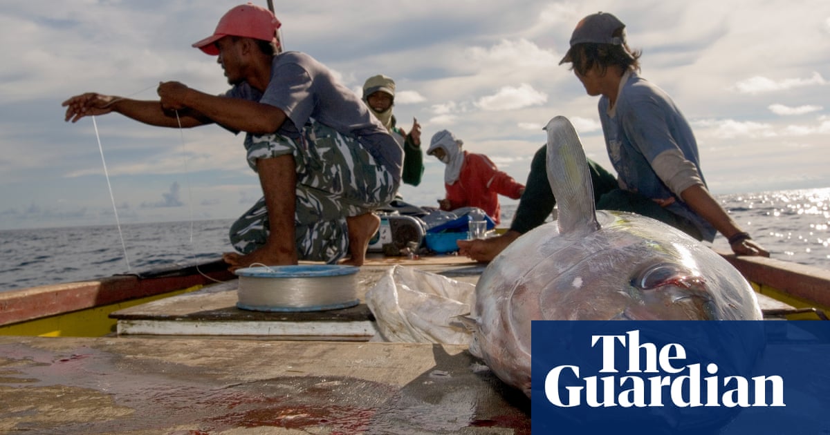 M&S joins calls for EU to restrict harmful tuna fishing methods in Indian Ocean