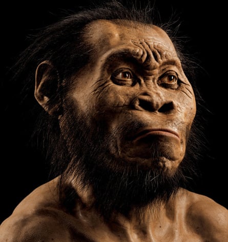 Homo naledi, discovered in South Africa, could combine land walking and tree swinging.