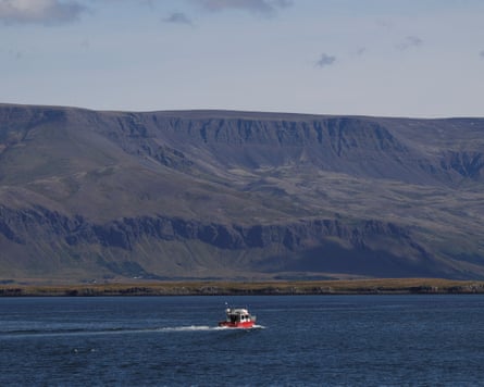 A boat heading out to sea
