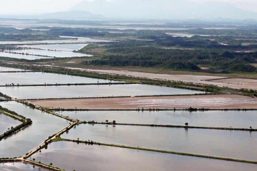 An aerial view of industrial shrimp pools constructed within protected mangrove forests inside the San Bernardo wildlife reserve in Choluteca.