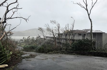 Damaged trees and buildings missing their roofs