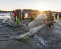 people stand around a dead whale on a beach