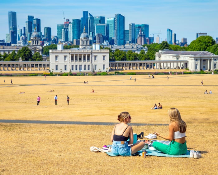 This was the hottest summer on record. If it happens again next year, Britain’s ecosystems won’t cope | Lucy Jones