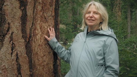 Suzanne Simard talks about her new book Finding the Mother Tree – video
