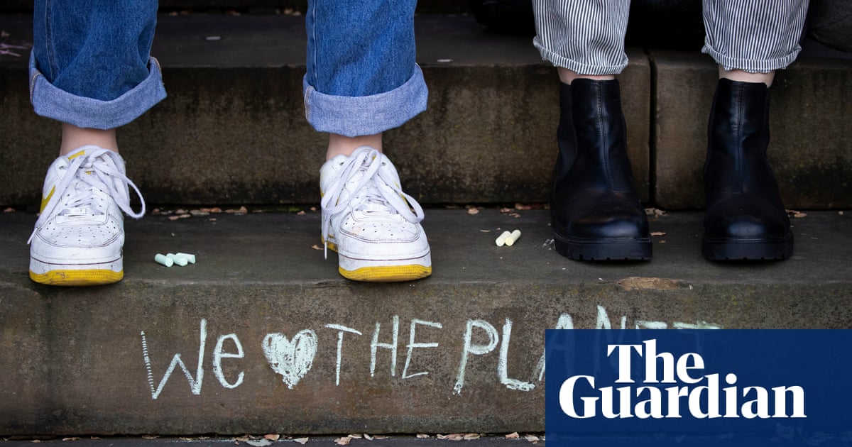 What will you do about the climate crisis? The parties answer - The Guardian