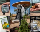 ‘We’ll borrow a stargazing kit next’: first public nature library in US helps visitors explore great outdoors