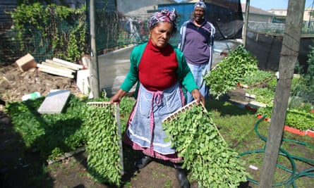 Workers at Nyanga Garden Centre in Cape Town