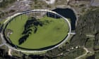 Reported plan to move Rosehill racecourse to endangered bell frog habitat surprises conservationists