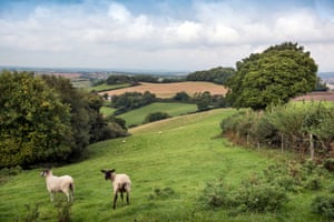 The countryside near Crediton, Devon