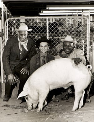 Stock Show Swine Sale Gr. Champ, San Antonio,Texas, ca. 1972