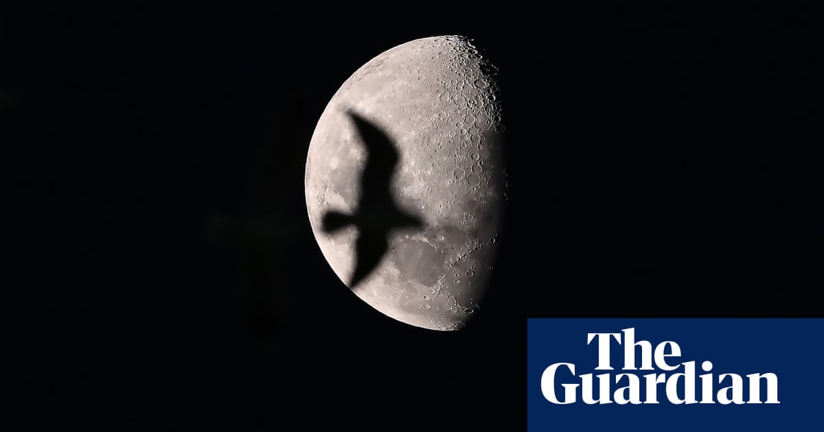 Australia's best photos of the month March 2025