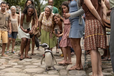 My Penguin Friend
