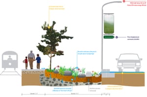 The bioswale, an environmentally-friendly form of drainage through landscape, at the Pilsen Sustainable Street on Cermak Rd.