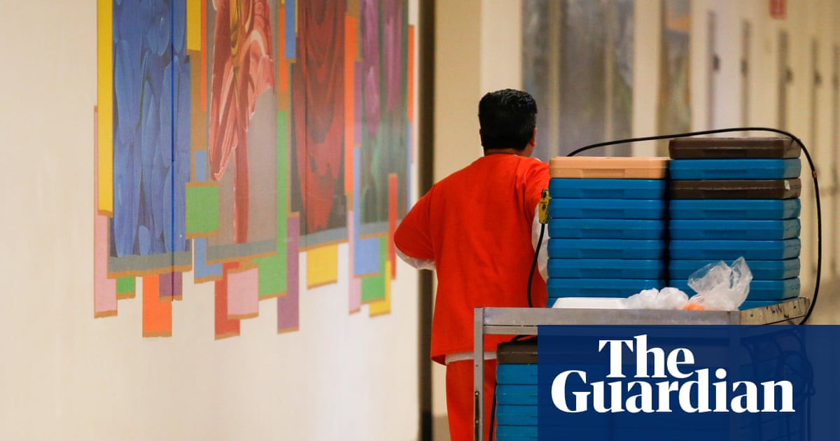 Dim days, bright nights: a hidden cruelty of Ice detention
