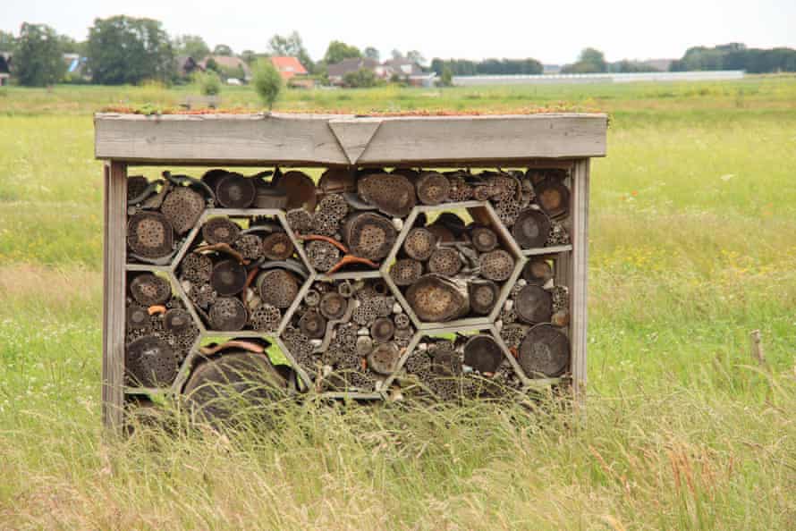 An 'bee hotel' in Hennipgaarde in the Netherlands.