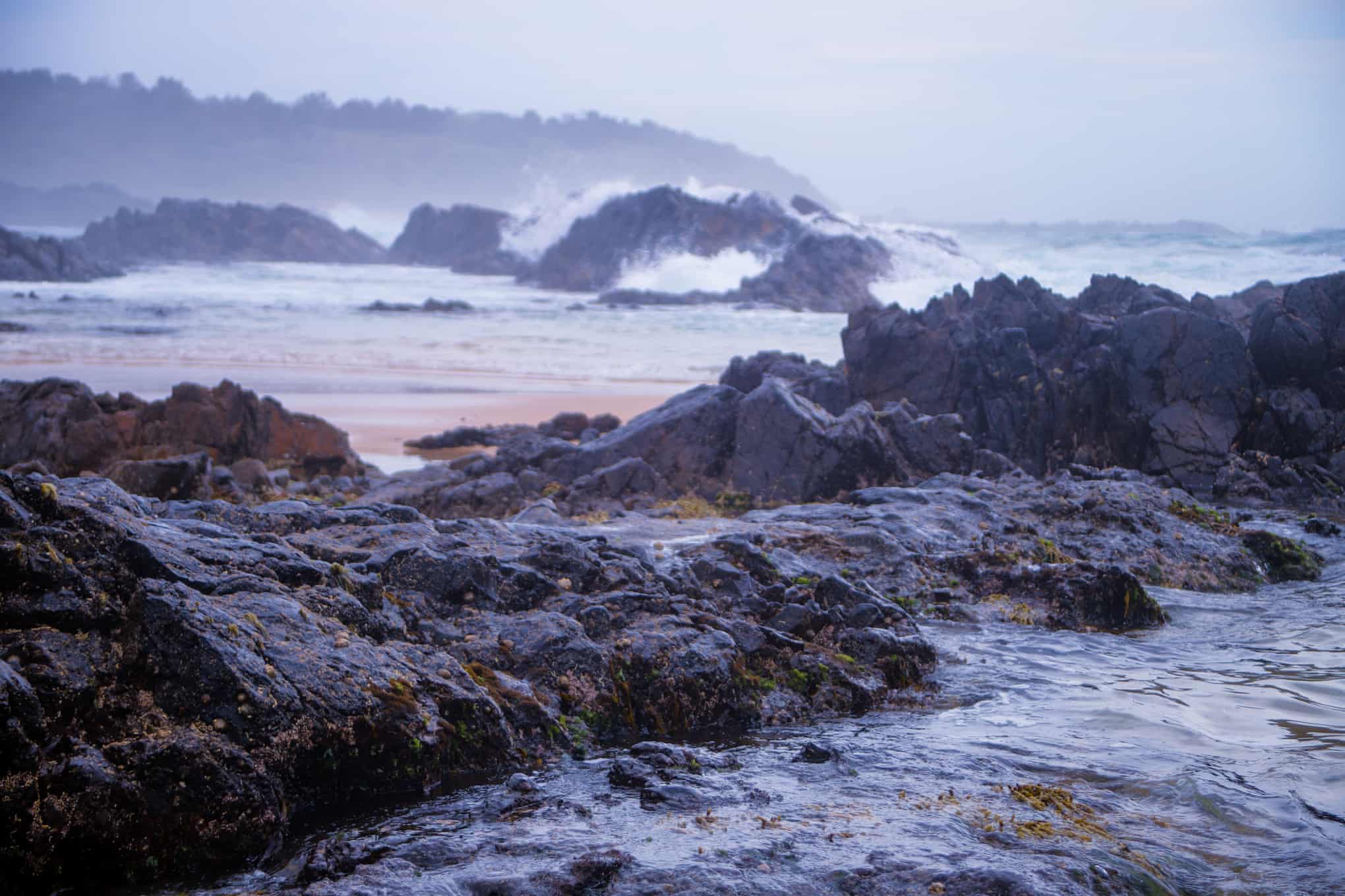 Experts warn the NSW South Coast marine environment is undergoing a ‘dynamic state of change’ Experts warn the NSW South Coast marine environment is undergoing a ‘dynamic state of change’