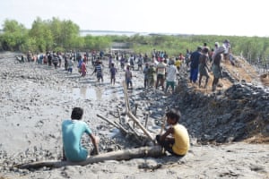 Two lines of men work to shore up a wall of mud with mangroves in the background