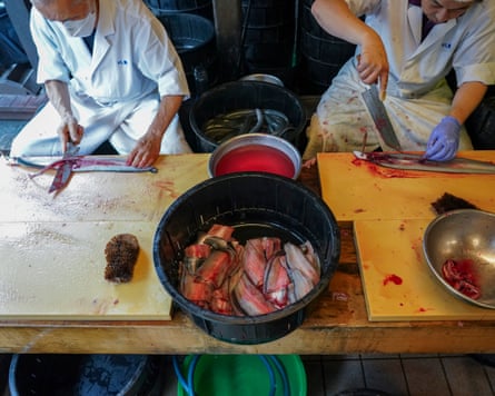 Overhead shot of two people preparing eels by filleting them and putting them into a large bucket, ready to be grilled.