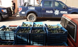 Mexicos avocado army how one city stood up to the drug cartels Mexicos avocado army how one city stood up to the drug cartels