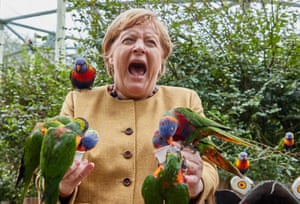 Marlow, GermanyGerman Chancellor Angela Merkel reacts as she gets bitten while feeding Australian lorises at Marlow Bird Park