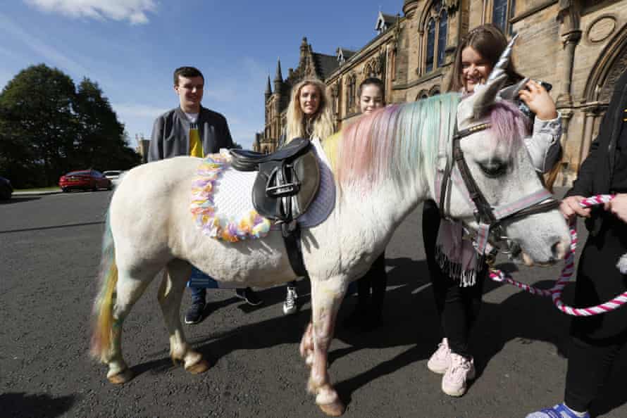 Four freshers at Glasgow university looking at a ‘unicorn’