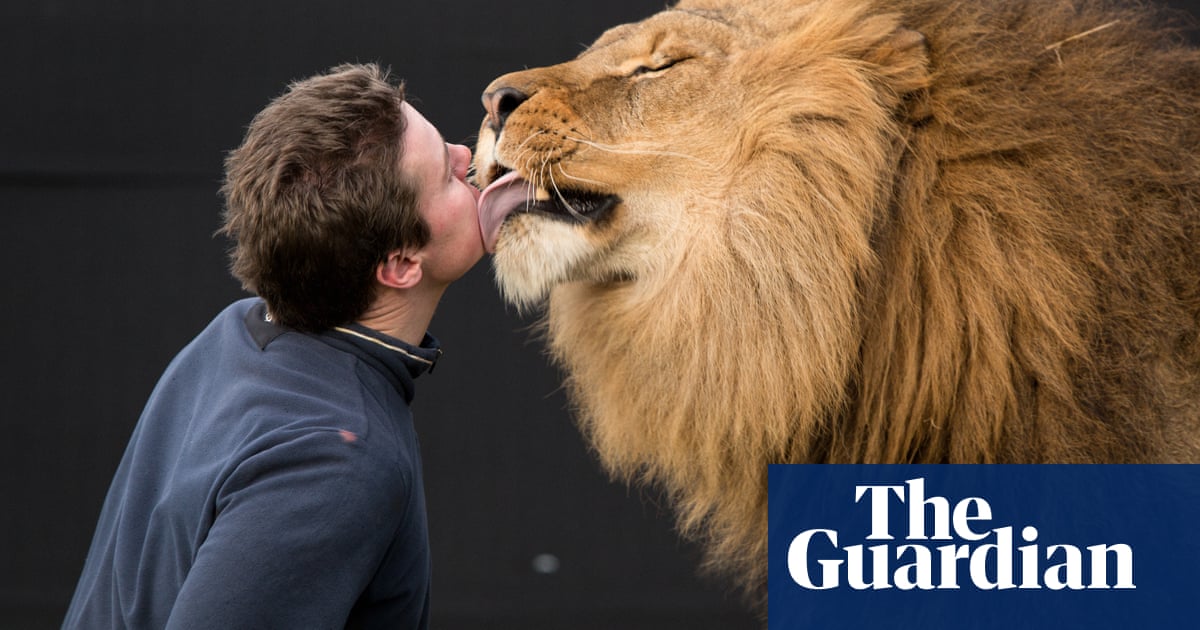 Britain S Last Lion Tamer It S Not The Archaic Victorian