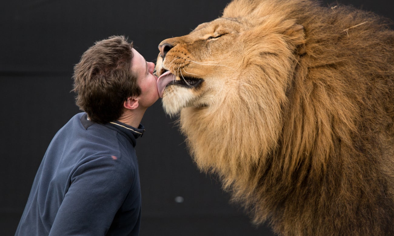 Britain's Last Lion Tamer: 'It's Not The Archaic Victorian Practice People  Imagine' | Circus | The Guardian