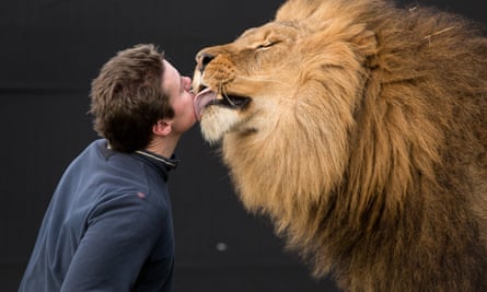 Thomas Chipperfield with Tsavo, one of his trained lions.