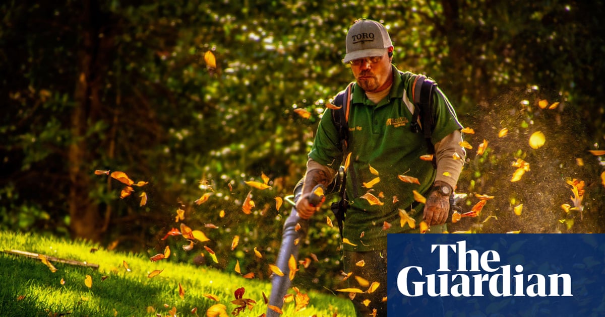 Add leaf blowers to the list of antisocial garden tools | Letters