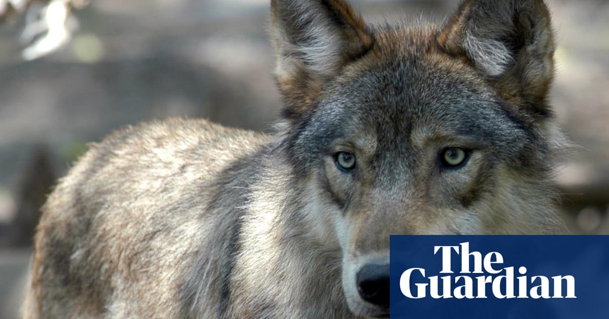 These six species are about to be sacrificed for the oil and gas industry